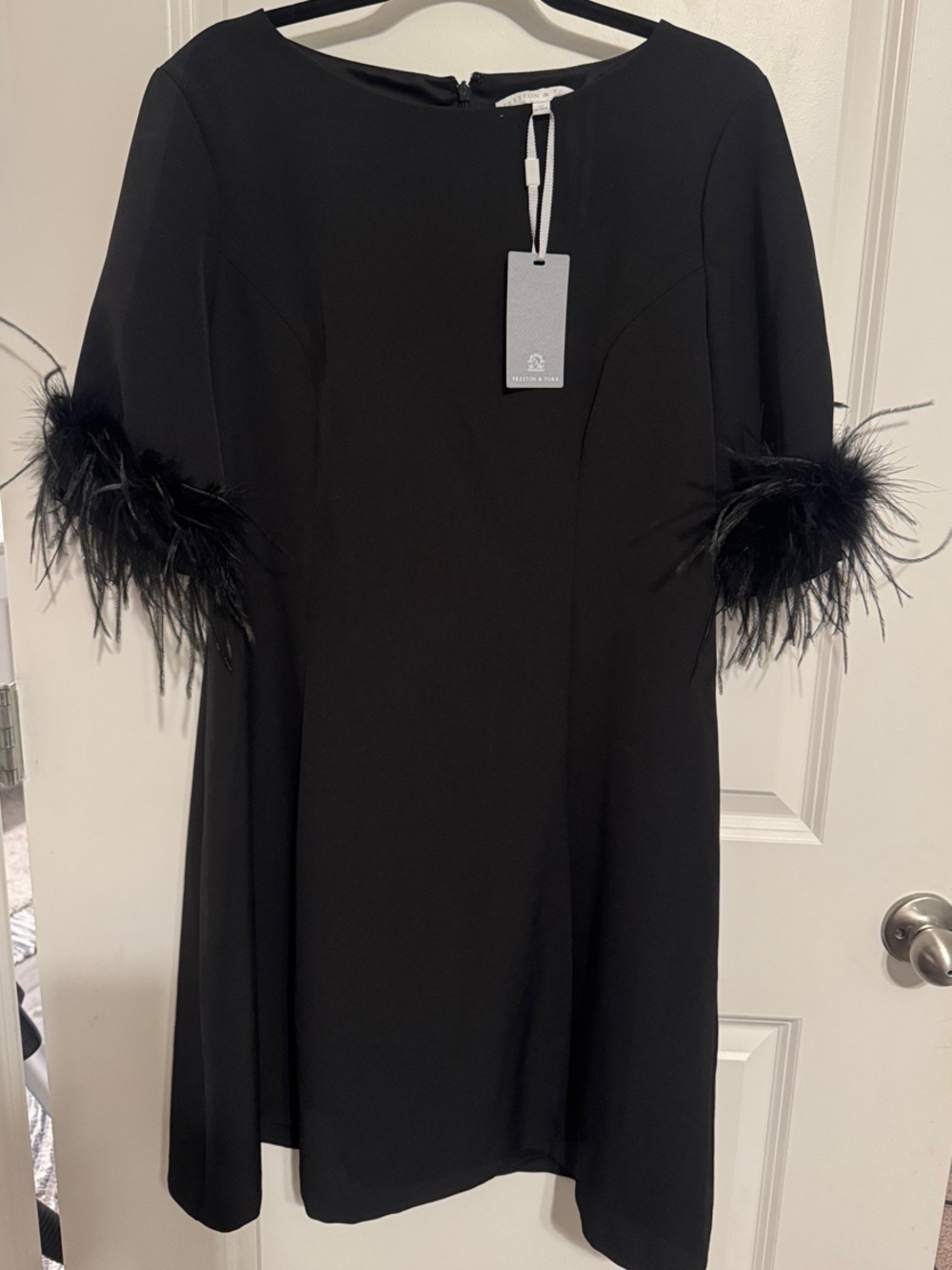 Preston & York Black Mini Dress with Feathered Short Sleeves